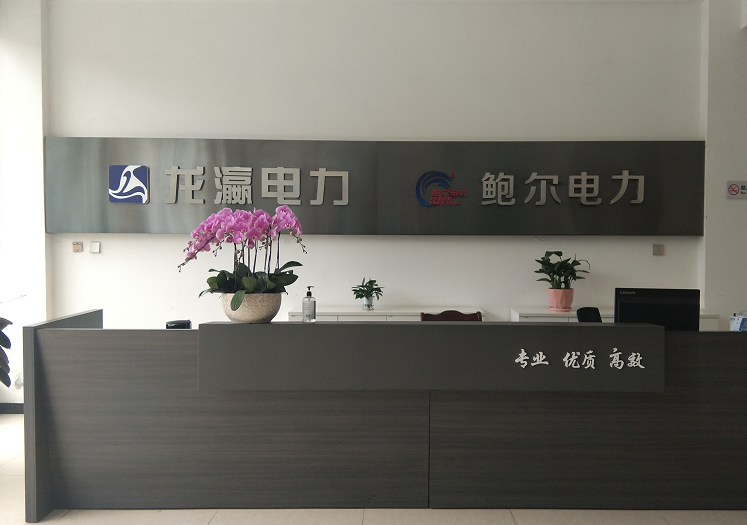 成都龙瀛电力电子实业有限公司