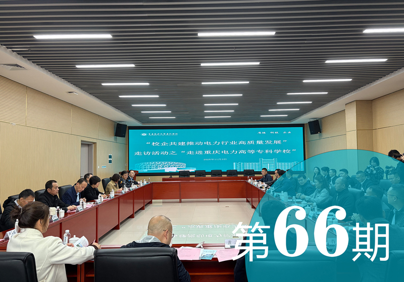 成都电力行业协会工作简报第66期