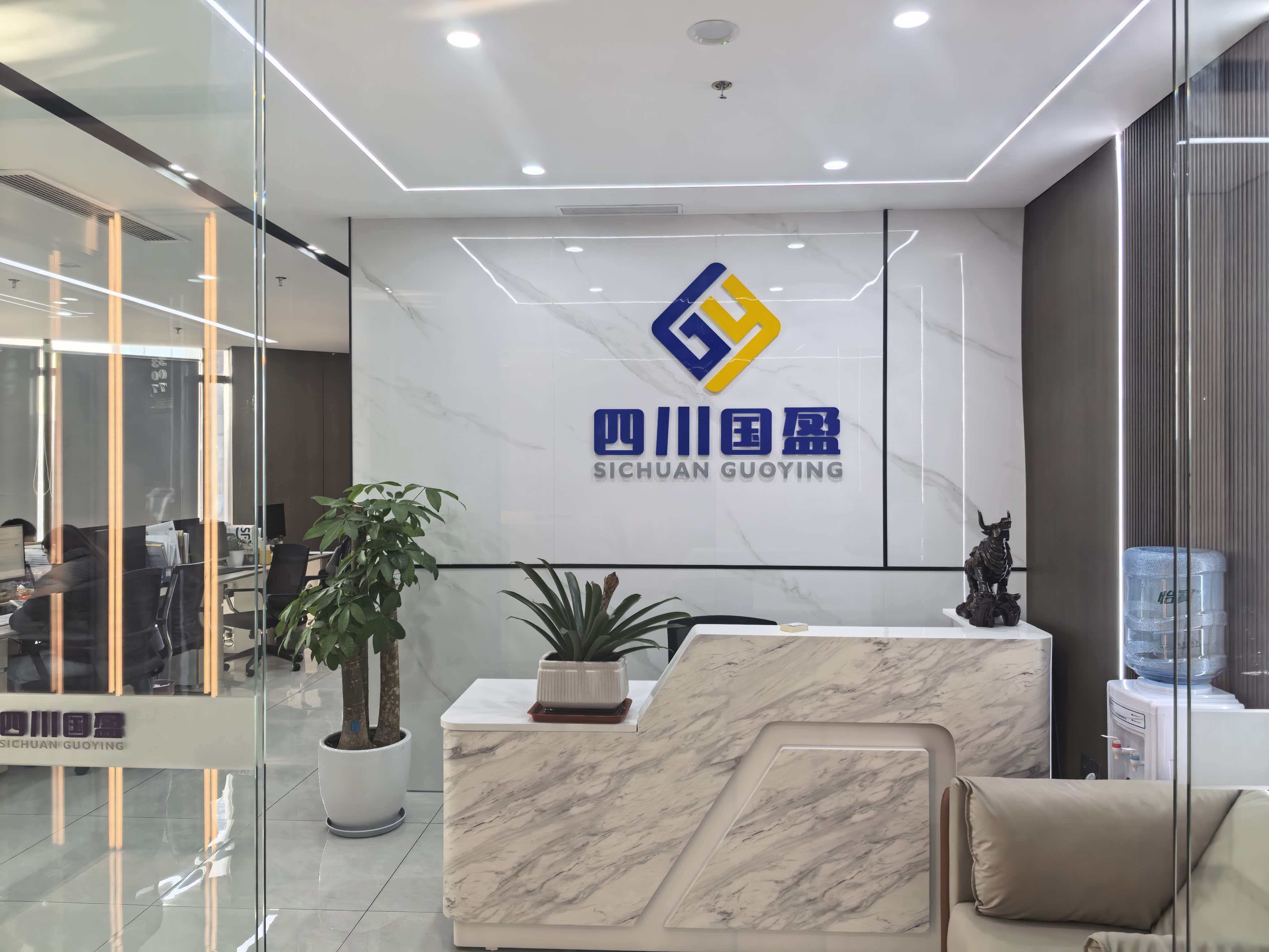 四川国盈非融资性担保有限公司